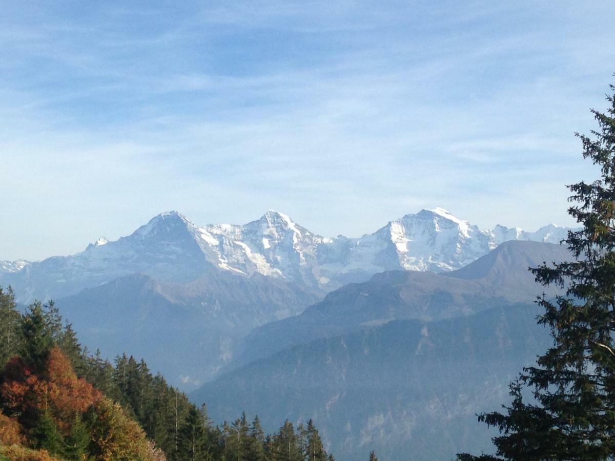 App. Seeblick Top Of Interlaken Beatenberg Eksteriør bilde