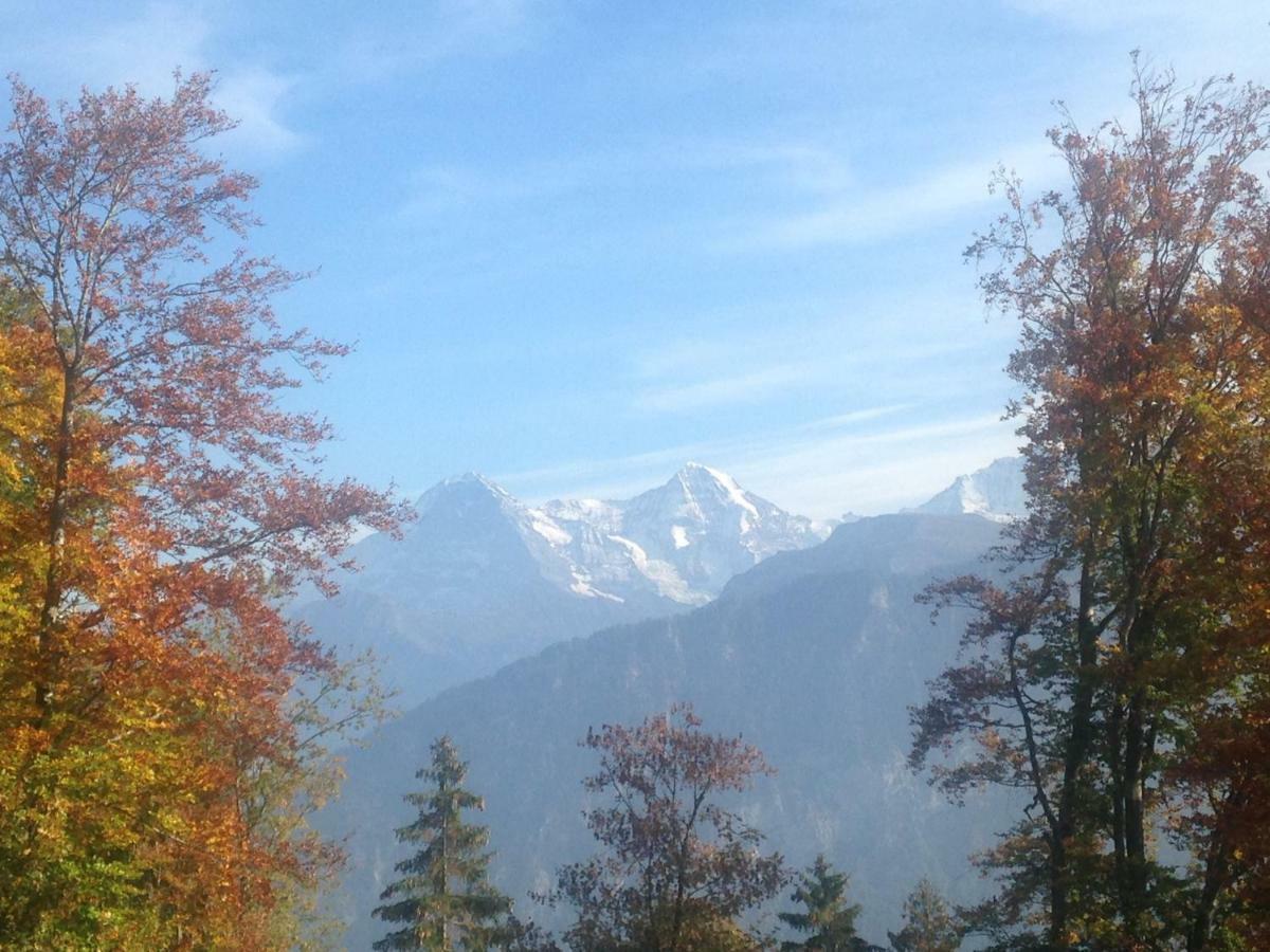 App. Seeblick Top Of Interlaken Beatenberg Eksteriør bilde