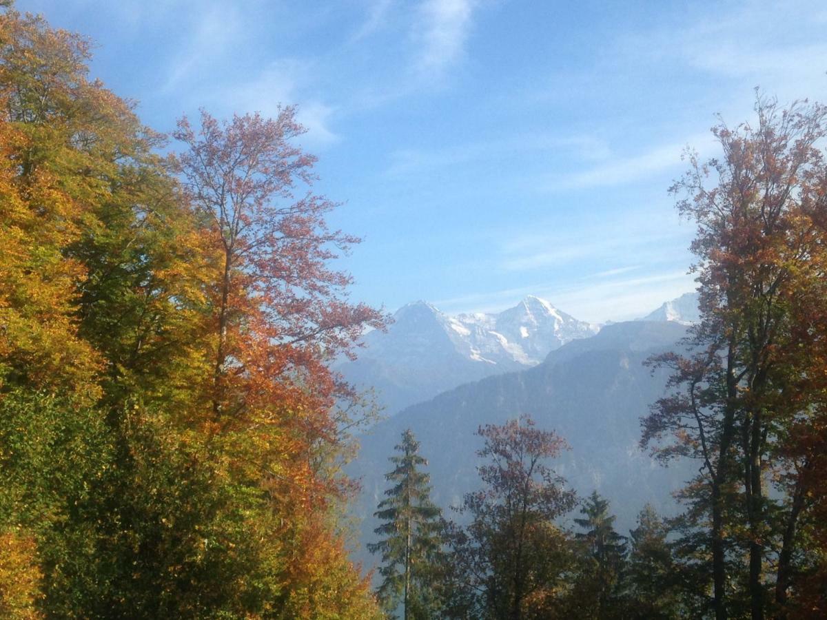 App. Seeblick Top Of Interlaken Beatenberg Eksteriør bilde