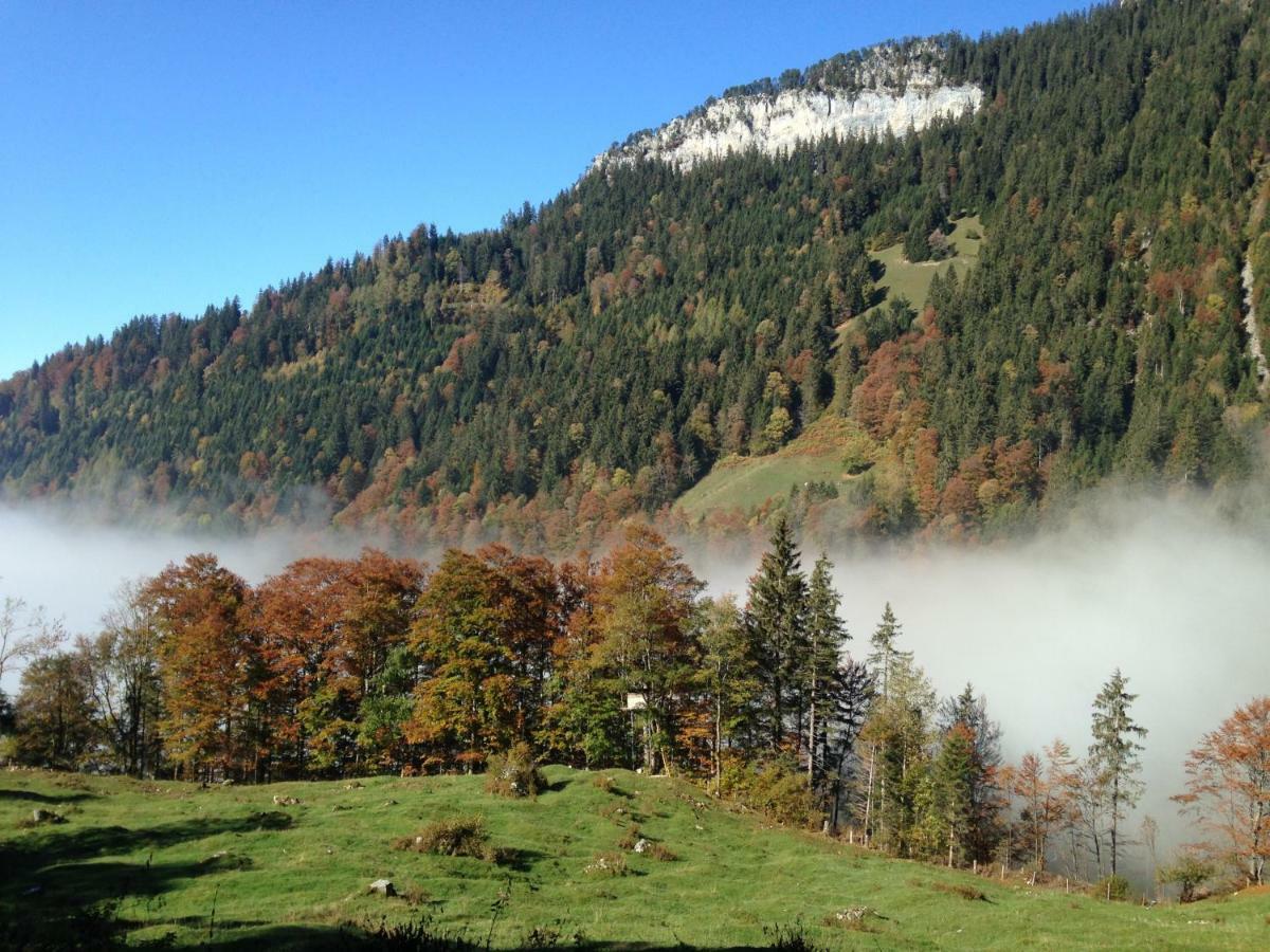 App. Seeblick Top Of Interlaken Beatenberg Eksteriør bilde