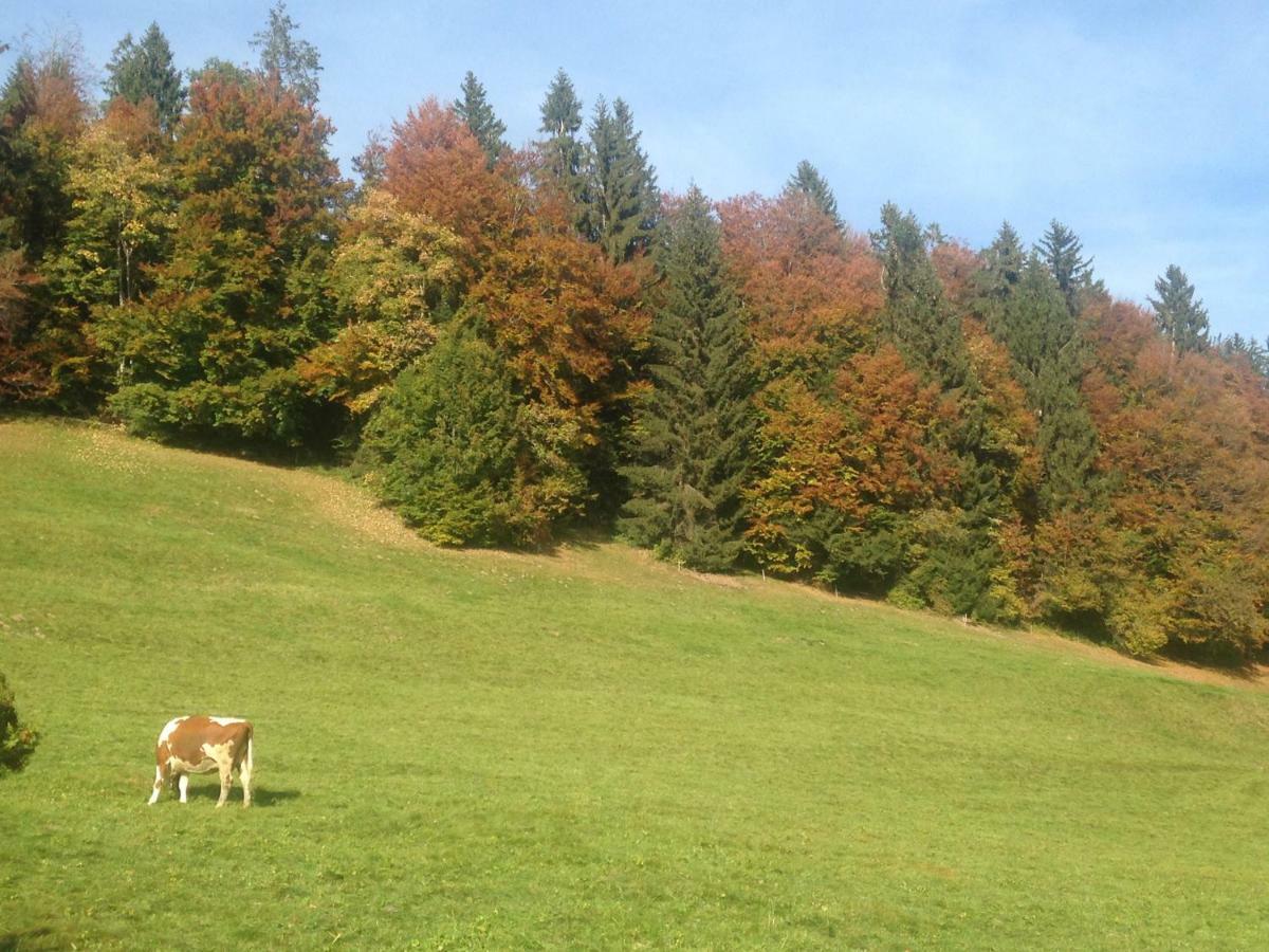 App. Seeblick Top Of Interlaken Beatenberg Eksteriør bilde
