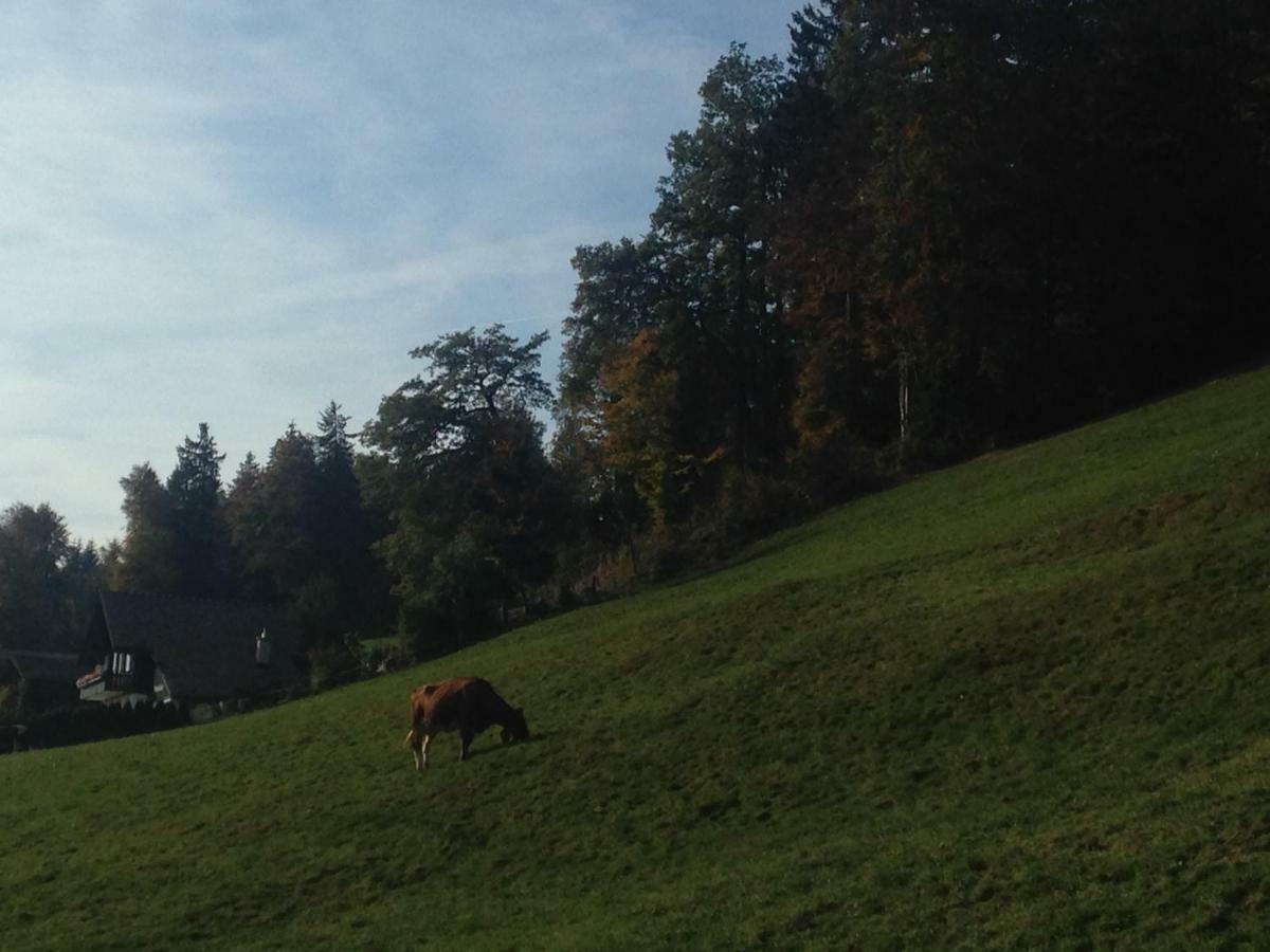 App. Seeblick Top Of Interlaken Beatenberg Eksteriør bilde